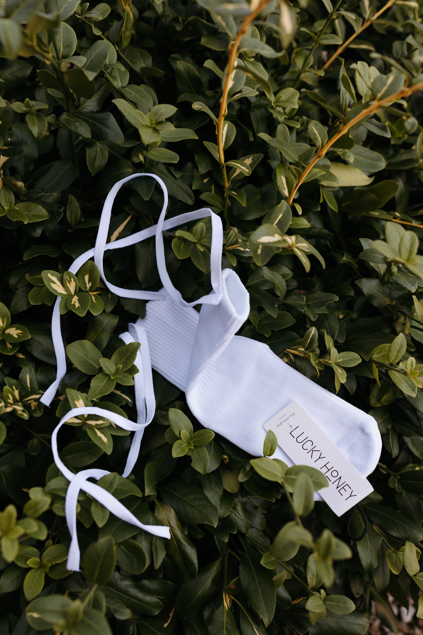 Lucky Honey Grip Socks